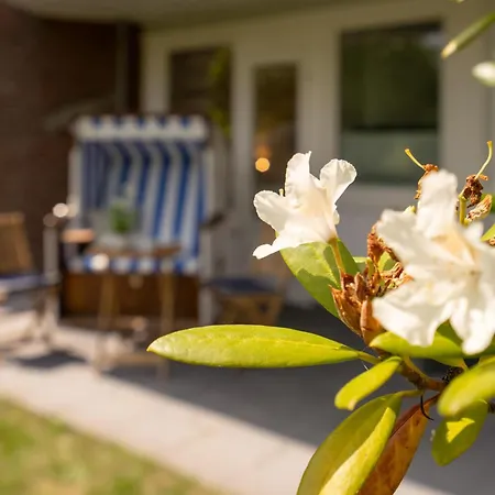 Strandperle Apartment *